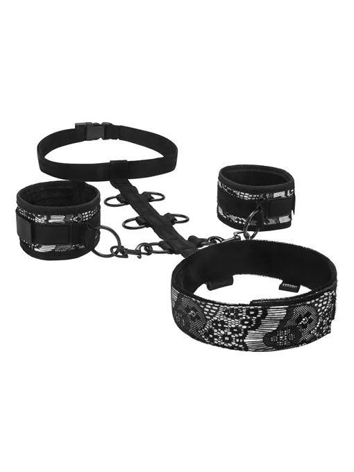 Neck And Wrist Restraints