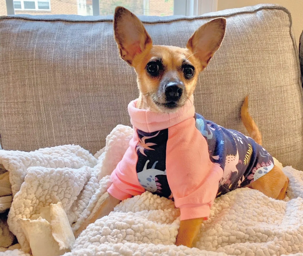 Pastel Dinosaur Raglan Dog Pajamas