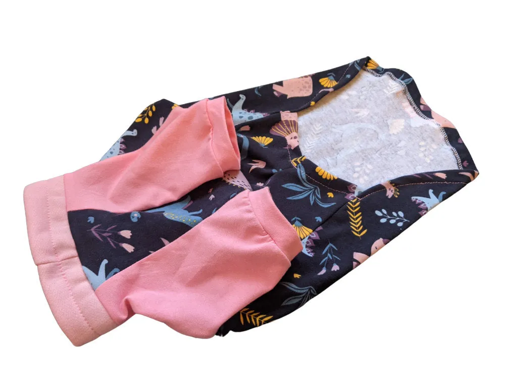 Pastel Dinosaur Raglan Dog Pajamas