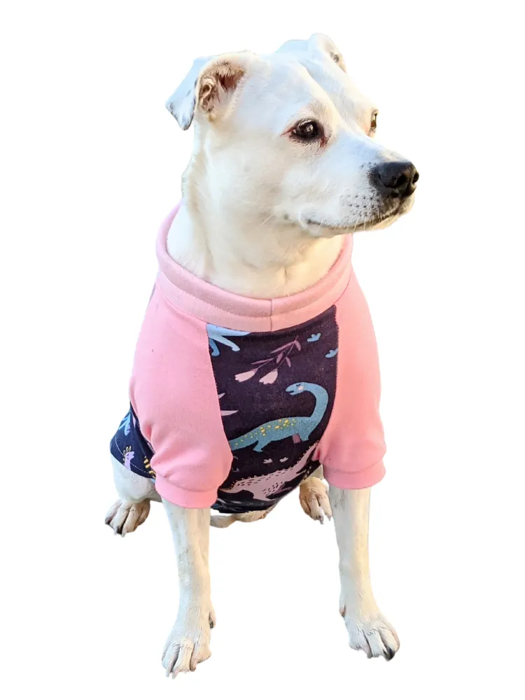 Pastel Dinosaur Raglan Dog Pajamas