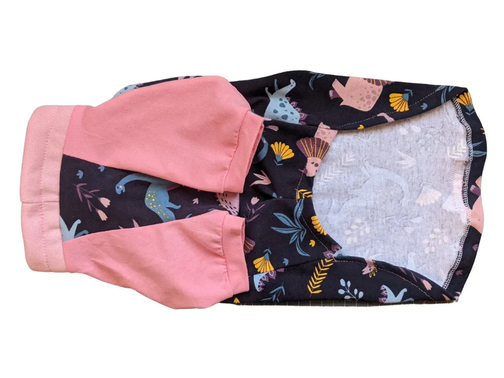 Pastel Dinosaur Raglan Dog Pajamas