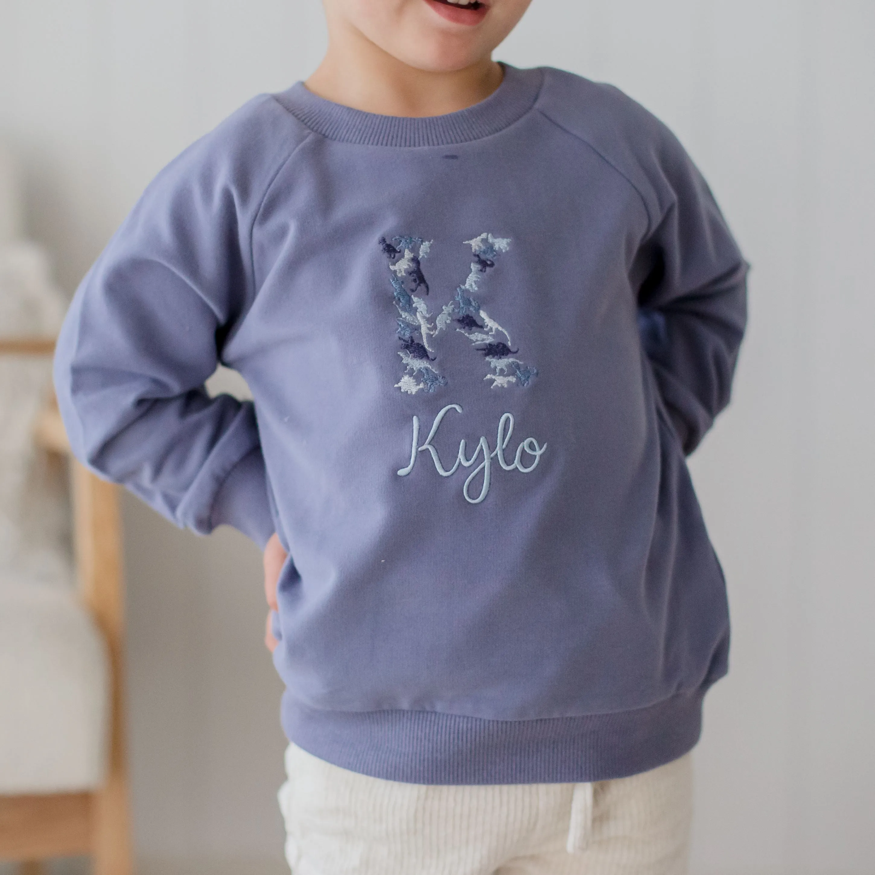 Personalised Dinosaur Design Baby and Toddler Crewnecks