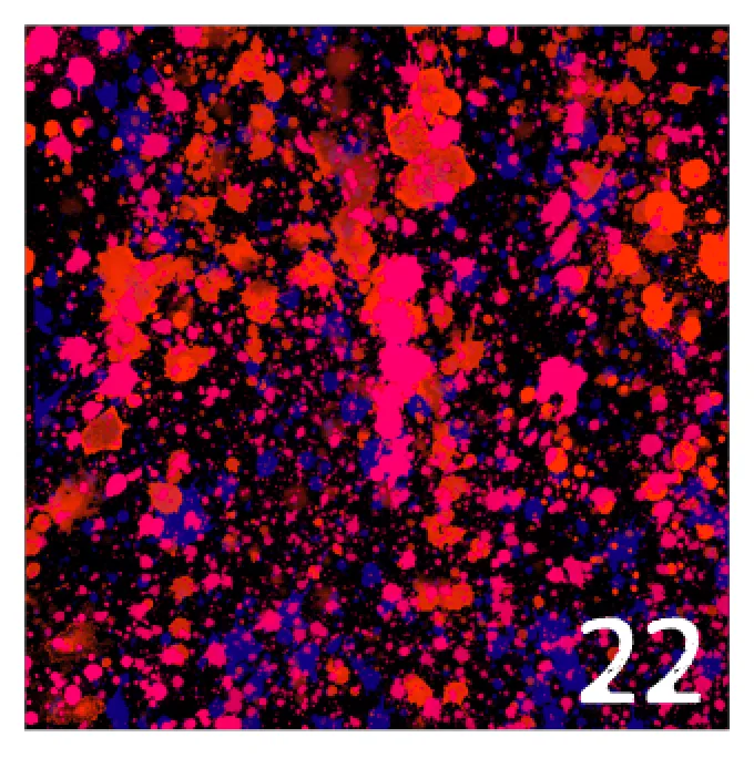 Printed HTV NEON PAINT SPLATTER Pattern Heat Transfer Vinyl 12 x 12 inch sheet