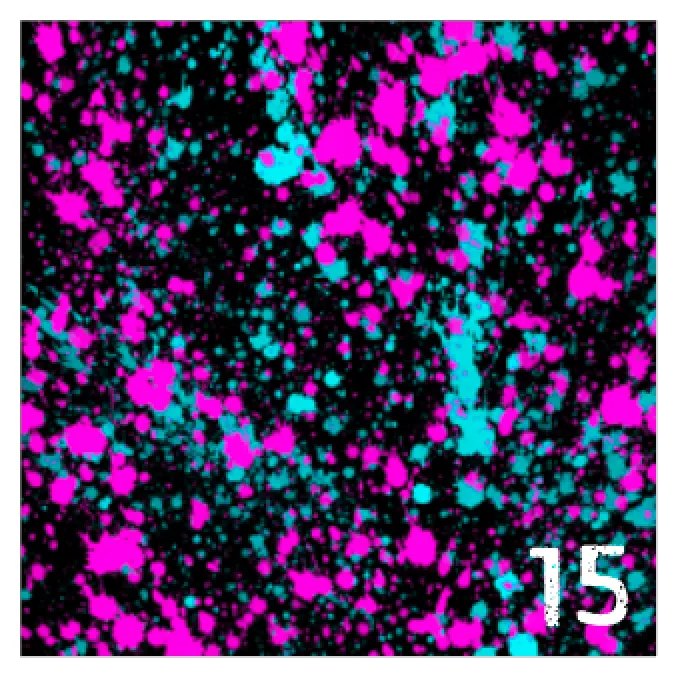 Printed HTV NEON PAINT SPLATTER Pattern Heat Transfer Vinyl 12 x 12 inch sheet