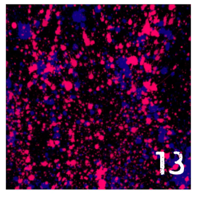 Printed HTV NEON PAINT SPLATTER Pattern Heat Transfer Vinyl 12 x 12 inch sheet