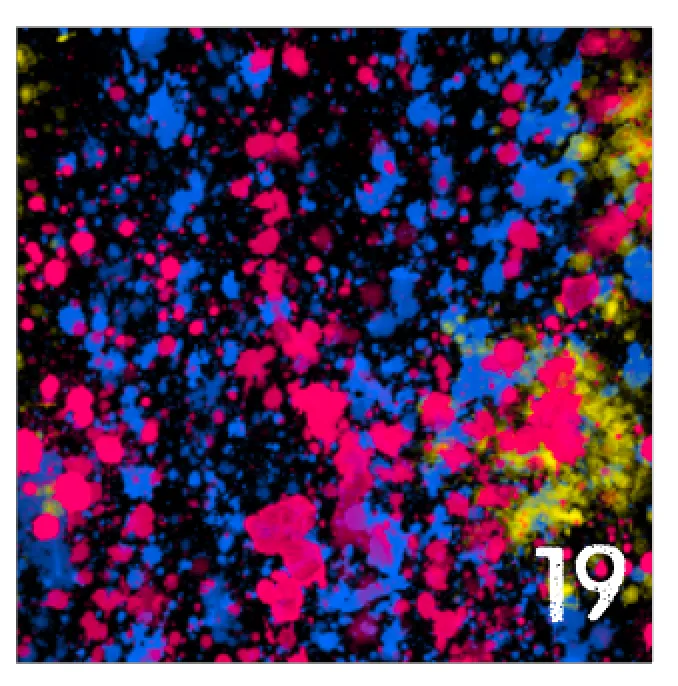 Printed HTV NEON PAINT SPLATTER Pattern Heat Transfer Vinyl 12 x 12 inch sheet