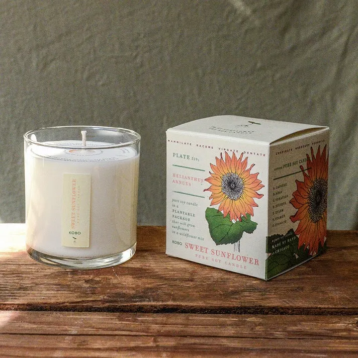 Sweet Sunflower Plant the Box Candle 9oz