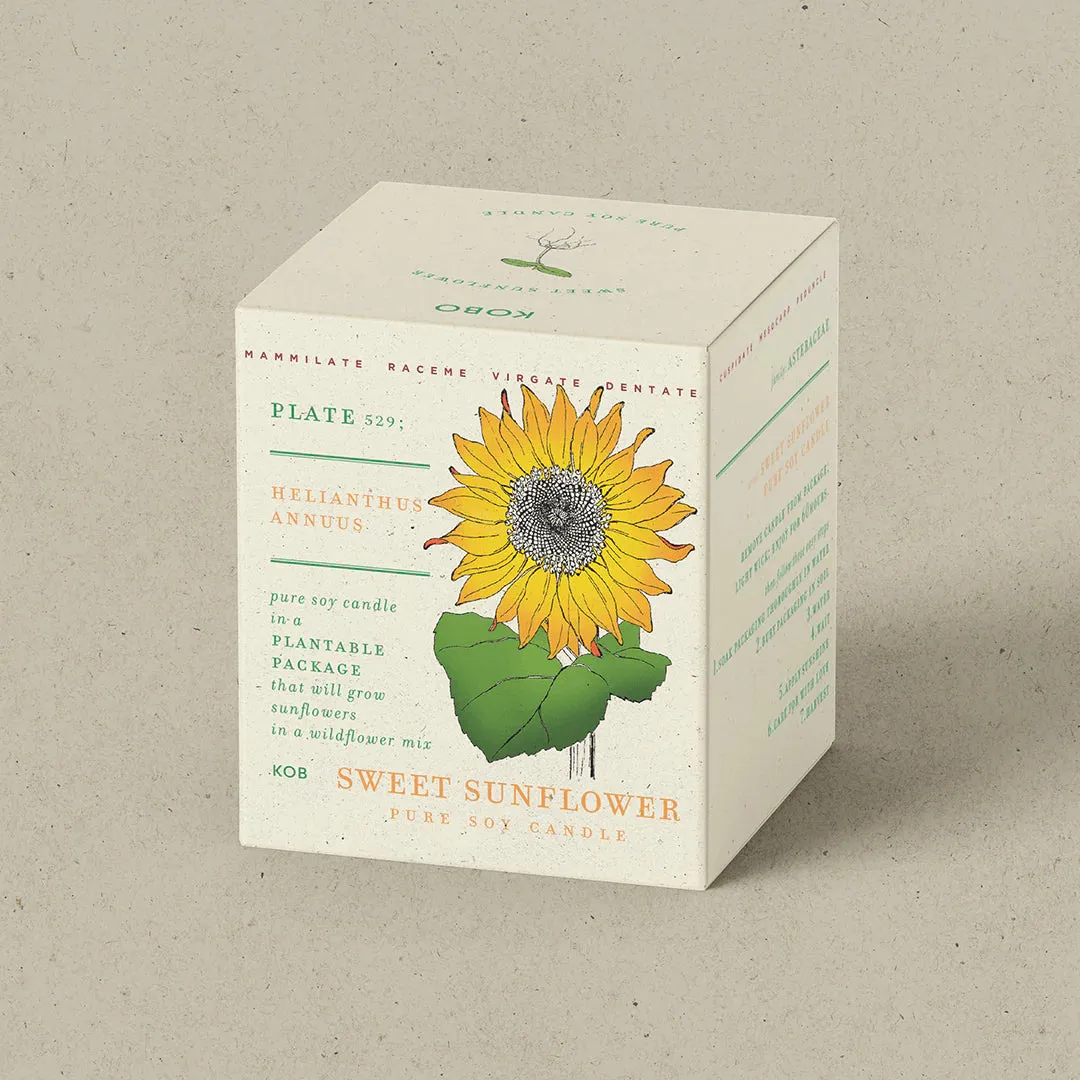 Sweet Sunflower Plant the Box Candle 9oz