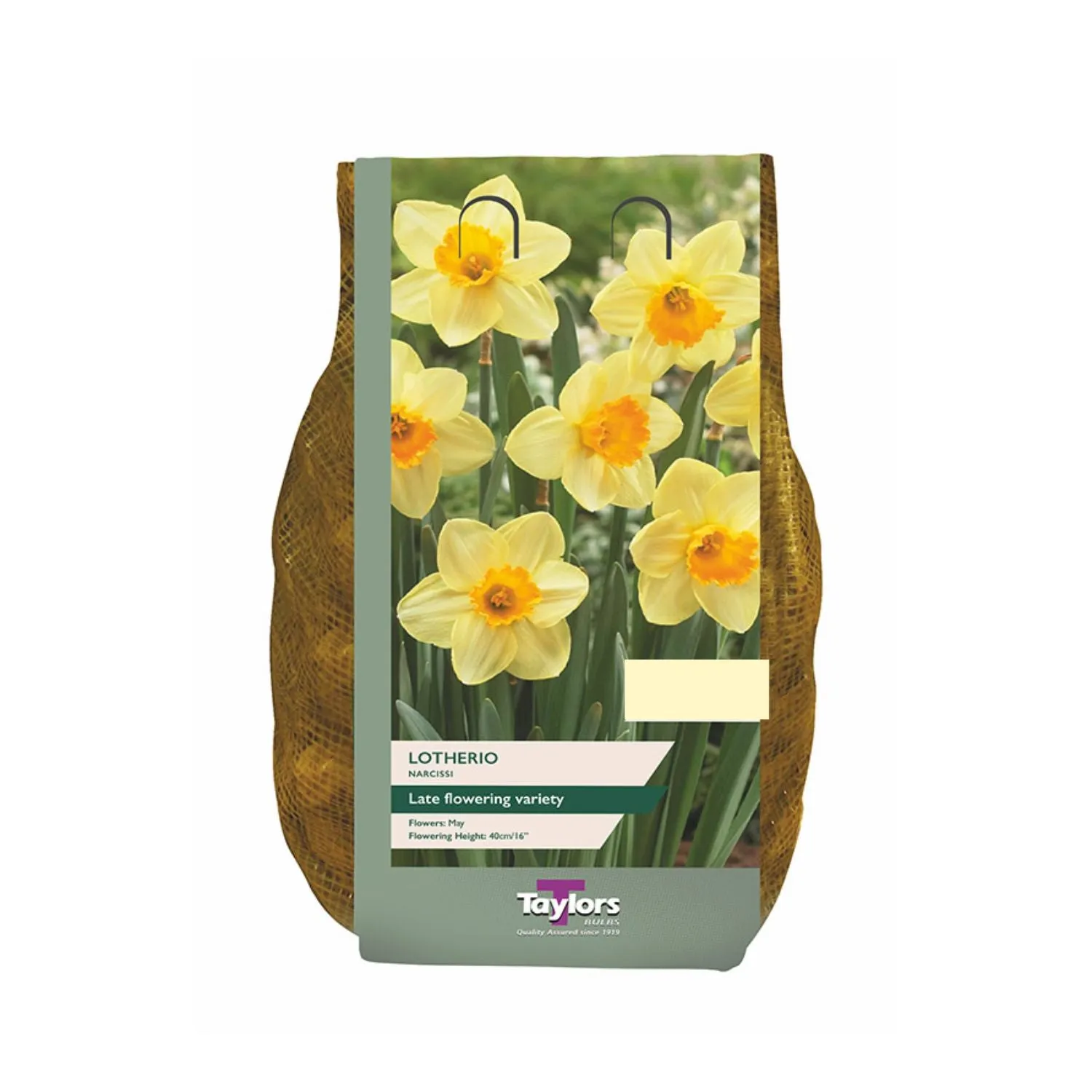 Taylors 1.5kg Narcissi Lotherio